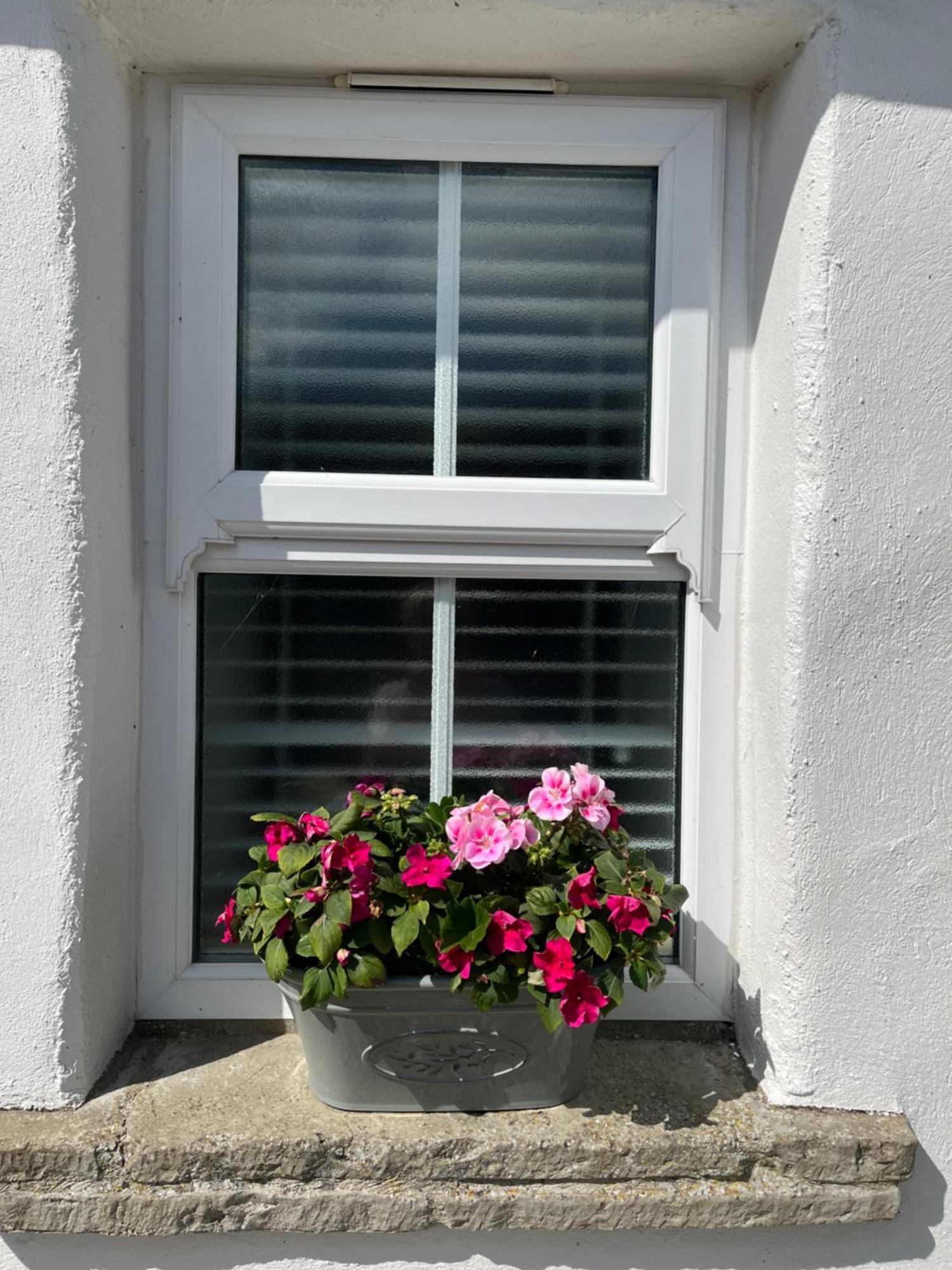 The Cottage At Ashbrook - Charming Country Cottage Near Belfast Extérieur photo
